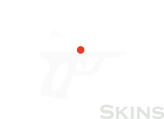Airsoft Skins